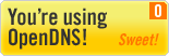 Use OpenDNS